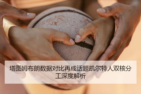 塔图姆布朗数据对比再成话题凯尔特人双核分工深度解析